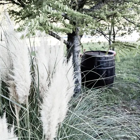 Casa de Férias House Nada Gata