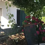 House Nada Gata